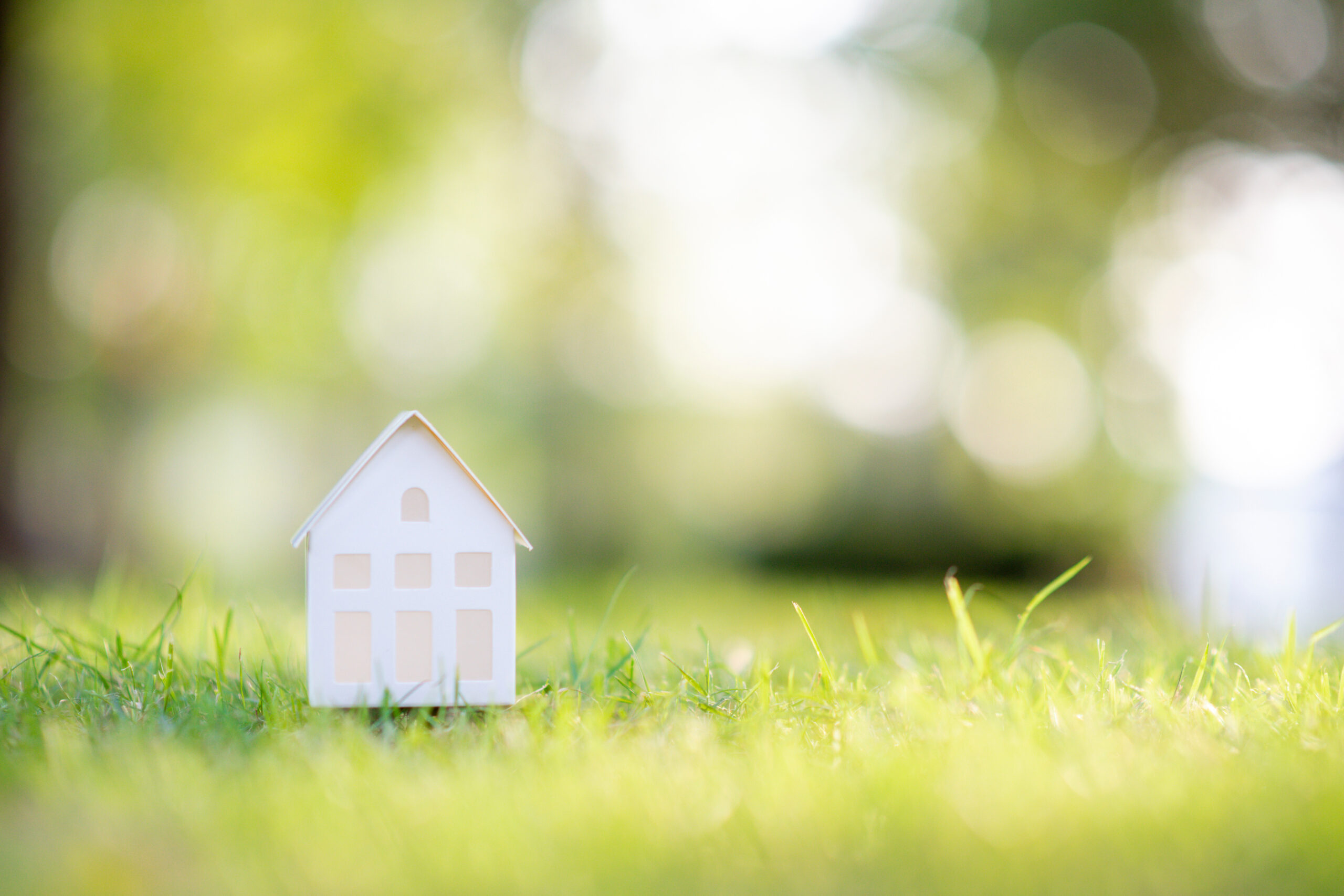 quel-terrain-choisir-pour-faire-construire