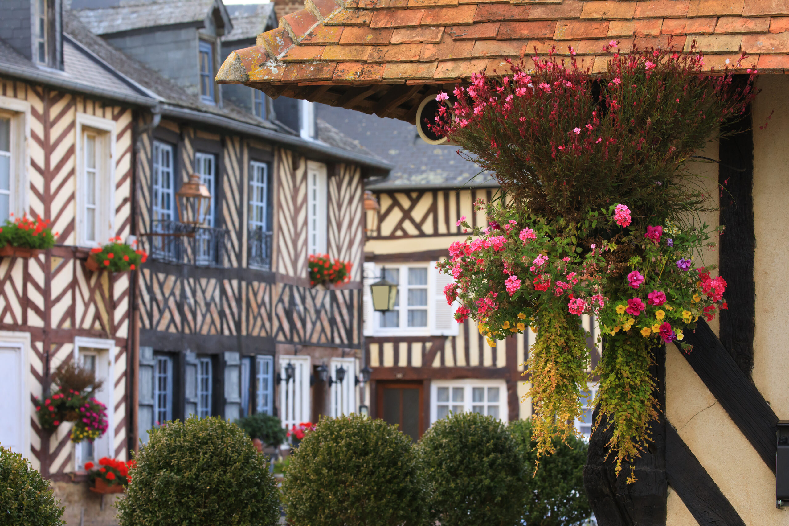 constructeur Calvados